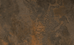 imagem do produto acessado