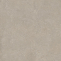 PORCELANATO RÚSTICO BORDA RETA 83X83 VERSALHES SILVER OUT PLUS 70525