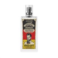 Aromatizante auto spray germany 45ml