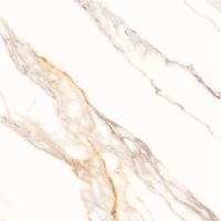 Piso ext retif bri 67x67cm coqueirinho cx:3,16m² Piso ext retif bri 67x67cm coqueirinho cx:3,16m²
