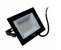 Refletor Elgin Led Power Preto 30w 6500k
