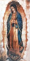 Piso Gabriella Nossa Senhora Guadalupe 31x61 ( Unidade )