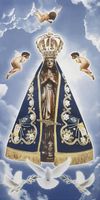 PISO GABRIELLA NOSSA SENHORA APARECIDA 31X61 ( UNIDADE )