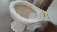 Vaso Luzarte Sem Caixa Acoplada Evora Pergamon