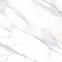Porcelanato carrara dream polido 60x60 1,80m² gaudi