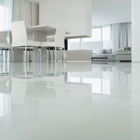 Porcelanato Gaudi 1.93m² 80x80 Bianco Polido
