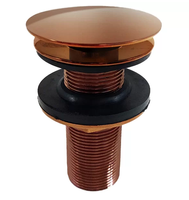 Válvula Click Flvx Hidro 7/8'' Inox Rose
