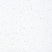 Piso Unigres 2.65m² 54x54 Traffic Rf-54501