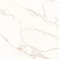Porcelanato helena 2,02m² 82x82 fili gold polido
