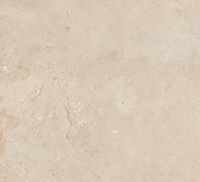 Porcelanato Delta Classic ARPOADOR 2.44M² 70X70 Rustico
