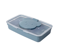 Porta Lenço Umedecido Urso Plasútil Lúdica Menino 05 530ml Rf-016616
