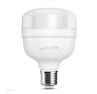 Lâmpada Lumanti Led Bulbo T100 50w Aut 6500k Lâmpada Lumanti Led Bulbo T100 50w Aut 6500k